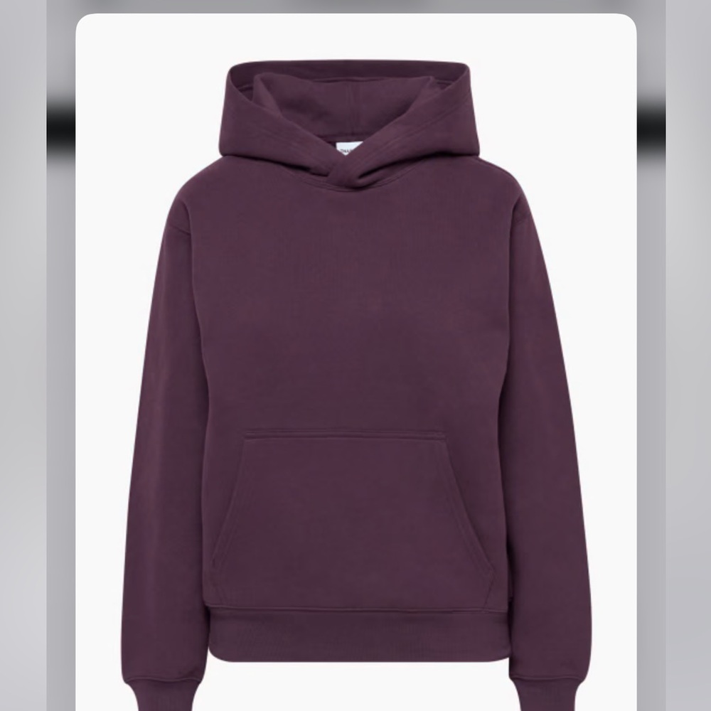 Aritzia Cozy Fleece Perfect Hoodie & Sweatpants